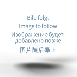 [Translate to Chinesisch:] Beispielabbildung eines Trockners für Sonderanwendungen