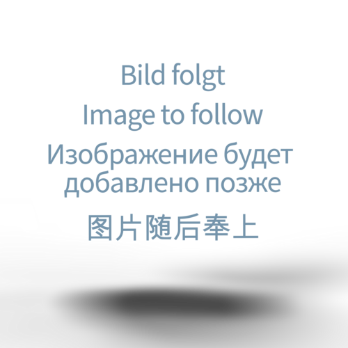 [Translate to Chinesisch:] Beispielabbildung eines Trockners für Sonderanwendungen